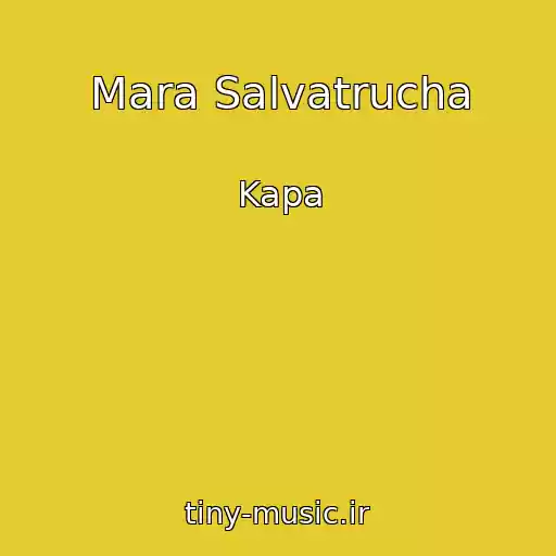 کاور آهنگ Mara Salvatrucha از Kapa