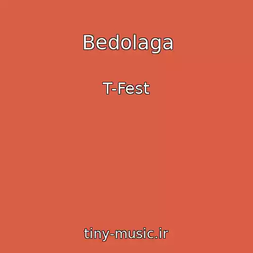 کاور آهنگ Bedolaga از T-Fest