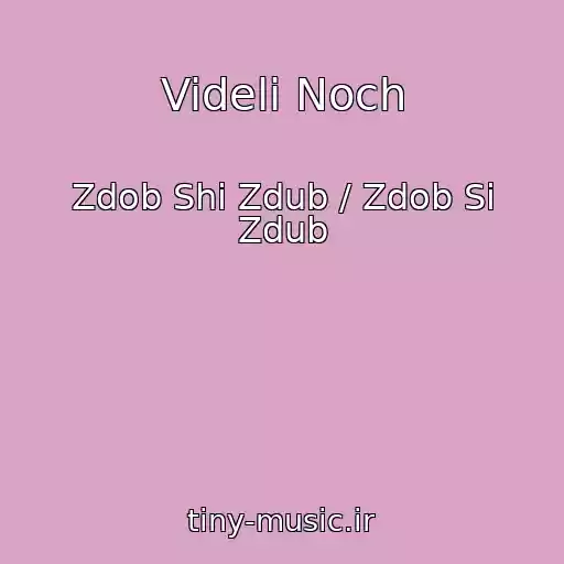 کاور آهنگ Videli Noch از Zdob Shi Zdub / Zdob Si Zdub