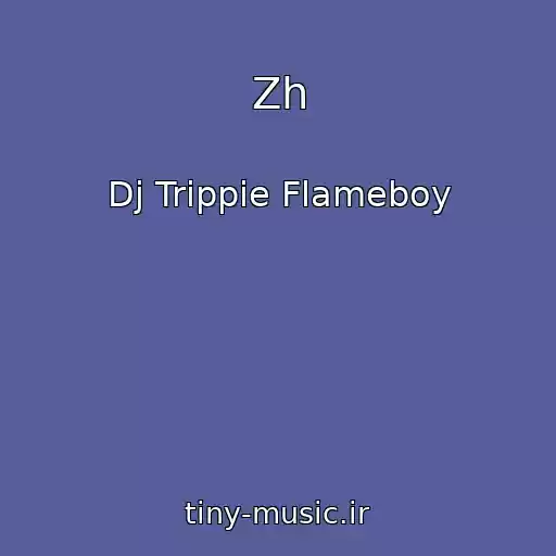 کاور آهنگ Zh از Dj Trippie Flameboy