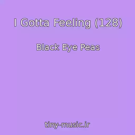 کاور آهنگ I Gotta Feeling (128) از Black Eye Peas