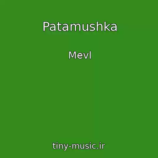 کاور آهنگ Patamushka از Mevl