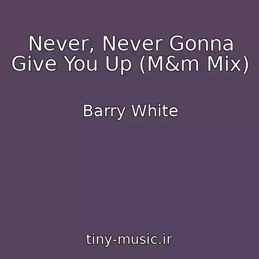کاور آهنگ Never, Never Gonna Give You Up (M&m Mix) از Barry White