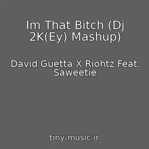 کاور آهنگ Im That Bitch (Dj 2K(Ey) Mashup) از David Guetta X Riohtz Feat. Saweetie