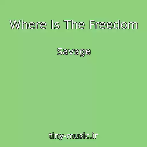 کاور آهنگ Where Is The Freedom از Savage