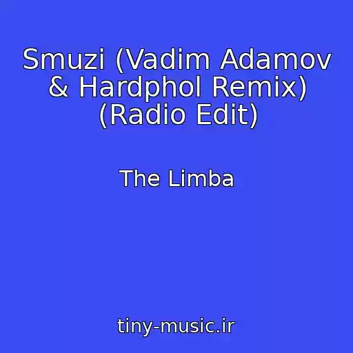 کاور آهنگ Smuzi (Vadim Adamov & Hardphol Remix) (Radio Edit) از The Limba