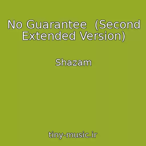 کاور آهنگ No Guarantee  (Second Extended Version) از Shazam