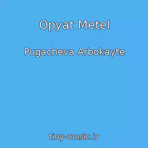کاور آهنگ Opyat Metel از Pugacheva Arbokayte