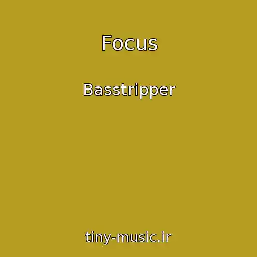 کاور آهنگ Focus از Basstripper