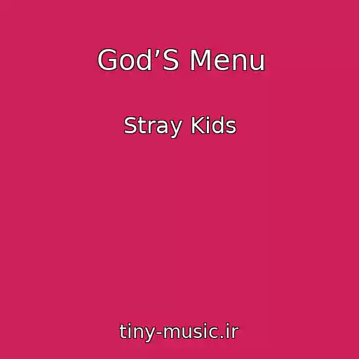کاور آهنگ God’S Menu از Stray Kids