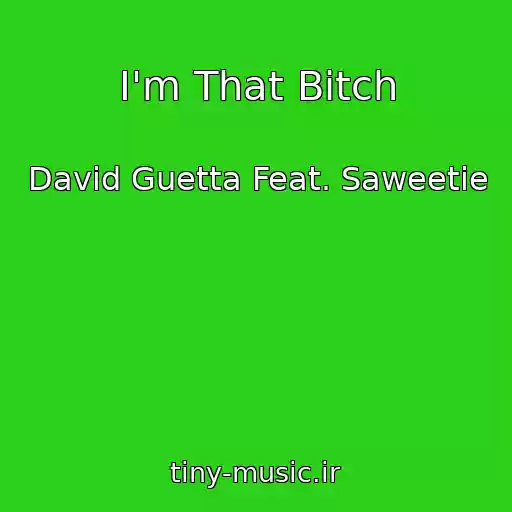 کاور آهنگ I'm That Bitch از David Guetta Feat. Saweetie