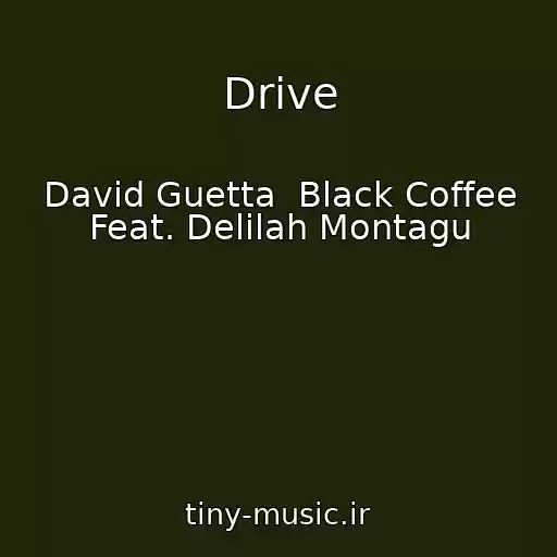 کاور آهنگ Drive از David Guetta  Black Coffee Feat. Delilah Montagu