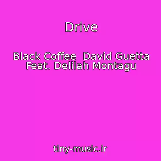 کاور آهنگ Drive از Black Coffee  David Guetta Feat. Delilah Montagu