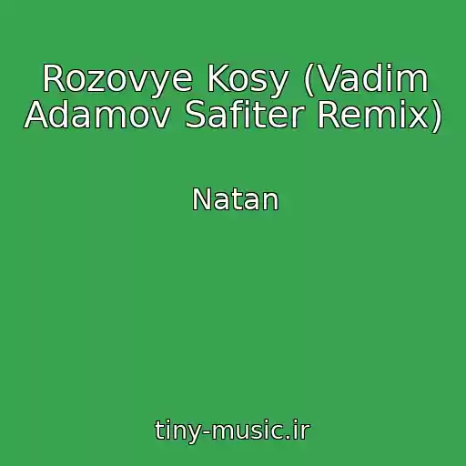 کاور آهنگ Rozovye Kosy (Vadim Adamov Safiter Remix) از Natan