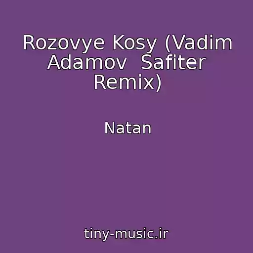کاور آهنگ Rozovye Kosy (Vadim Adamov  Safiter Remix) از Natan