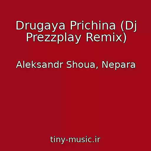 کاور آهنگ Drugaya Prichina (Dj Prezzplay Remix) از Aleksandr Shoua, Nepara