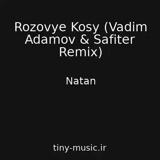 کاور آهنگ Rozovye Kosy (Vadim Adamov & Safiter Remix) از Natan