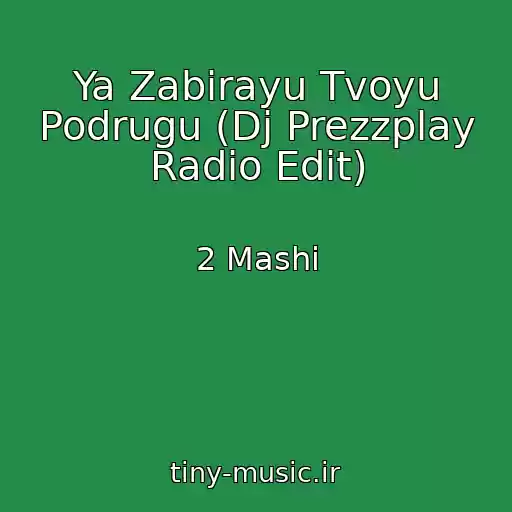 کاور آهنگ Ya Zabirayu Tvoyu Podrugu (Dj Prezzplay Radio Edit) از 2 Mashi
