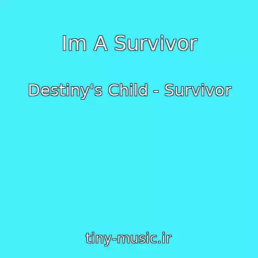 کاور آهنگ Im A Survivor از Destiny's Child - Survivor