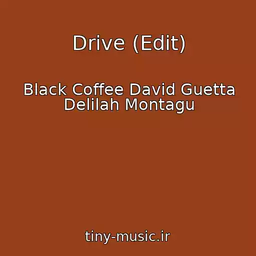کاور آهنگ Drive (Edit) از Black Coffee David Guetta Delilah Montagu