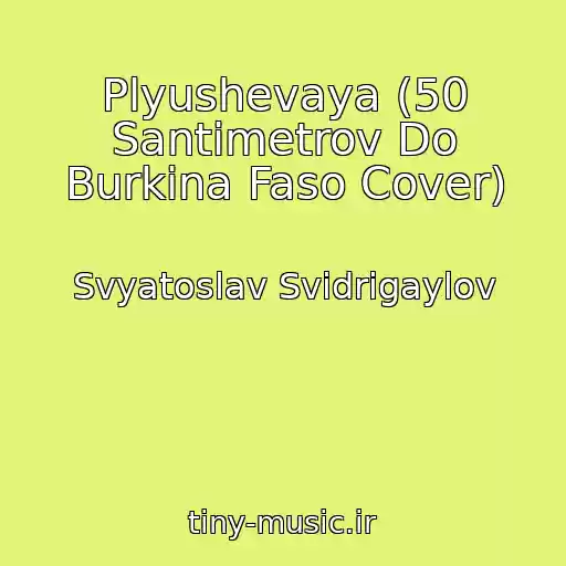 کاور آهنگ Plyushevaya (50 Santimetrov Do Burkina Faso Cover) از Svyatoslav Svidrigaylov