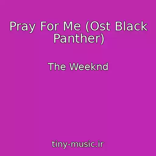 کاور آهنگ Pray For Me (Ost Black Panther) از The Weeknd