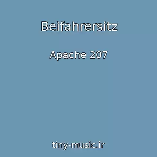 کاور آهنگ Beifahrersitz از Apache 207