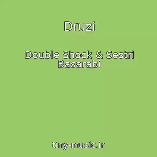 کاور آهنگ Druzі از Double Shock & Sestri Basarabi