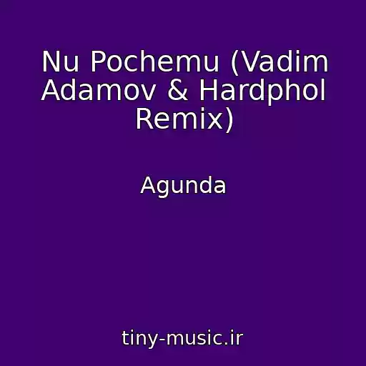کاور آهنگ Nu Pochemu (Vadim Adamov & Hardphol Remix) از Agunda