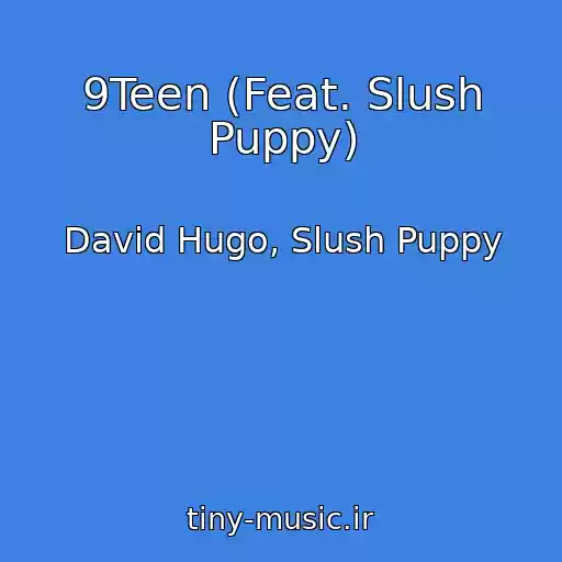 کاور آهنگ 9Teen (Feat. Slush Puppy) از David Hugo, Slush Puppy