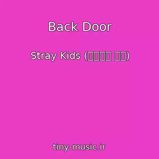 کاور آهنگ Back Door از Stray Kids (스트레이 키즈)