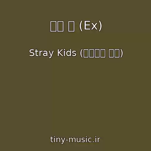 کاور آهنگ 미친 놈 (Ex) از Stray Kids (스트레이 키즈)