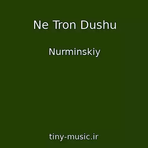 کاور آهنگ Ne Tron Dushu از Nurminskiy