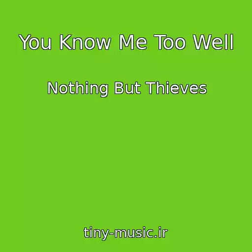 کاور آهنگ You Know Me Too Well از Nothing But Thieves