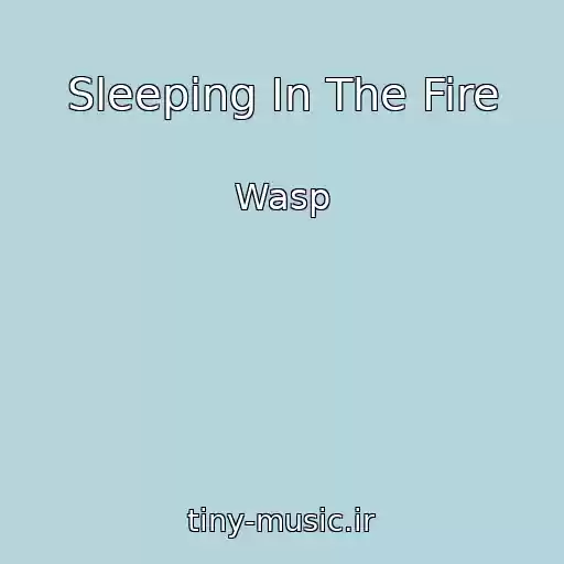 کاور آهنگ Sleeping In The Fire از Wasp