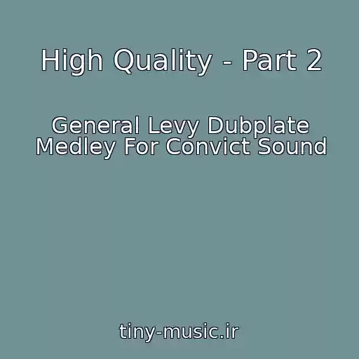 کاور آهنگ High Quality - Part 2 از General Levy Dubplate Medley For Convict Sound