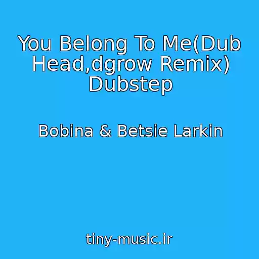کاور آهنگ You Belong To Me(Dub Head,dgrow Remix) Dubstep از Bobina & Betsie Larkin