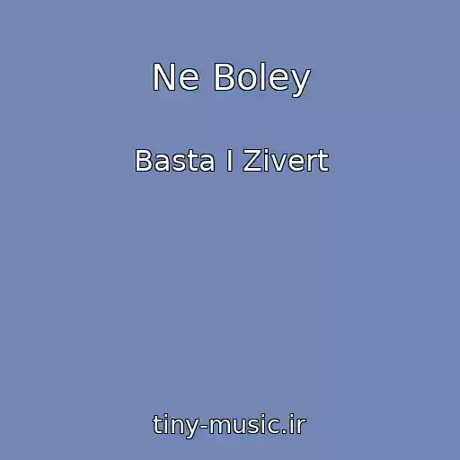 کاور آهنگ Ne Boley از Basta I Zivert