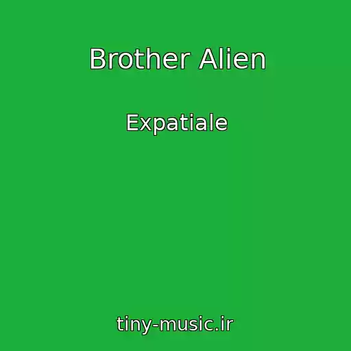 کاور آهنگ Brother Alien از Expatiale