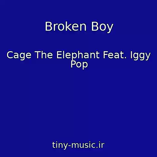 کاور آهنگ Broken Boy از Cage The Elephant Feat. Iggy Pop