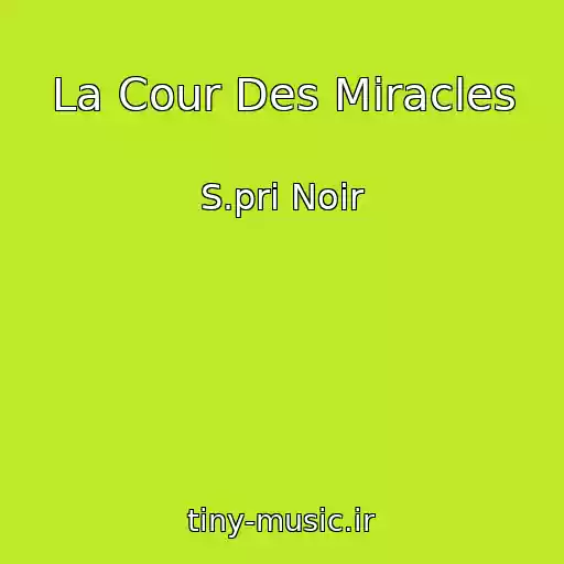 کاور آهنگ La Cour Des Miracles از S.pri Noir