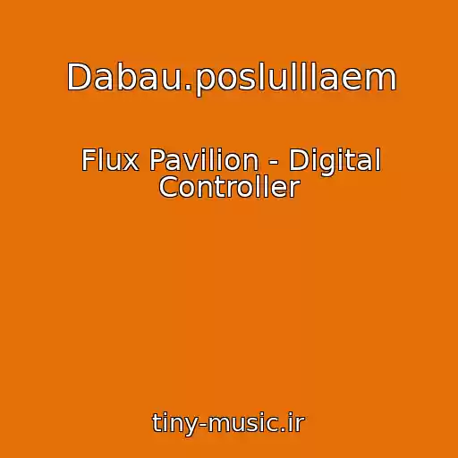 کاور آهنگ Dabau.poslulllaem از Flux Pavilion - Digital Controller