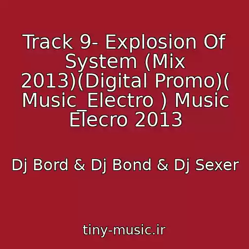 کاور آهنگ Track 9- Explosion Of System (Mix 2013)(Digital Promo)( Music_Electro ) Music Elecro 2013 از Dj Bord & Dj Bond & Dj Sexer