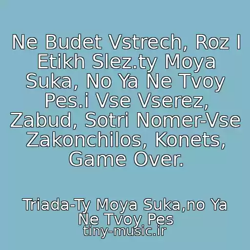 کاور آهنگ Ne Budet Vstrech, Roz I  Etikh Slez.ty Moya Suka, No Ya Ne Tvoy Pes.i Vse Vserez, Zabud, Sotri Nomer-Vse Zakonchilos, Konets, Game Over. از Triada-Ty Moya Suka,no Ya Ne Tvoy Pes