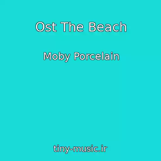 کاور آهنگ Ost The Beach از Moby Porcelain