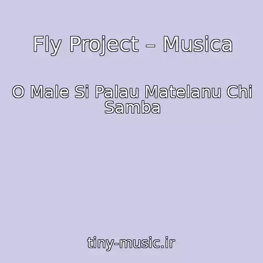 کاور آهنگ Fly Project – Musica از O Male Si Palau Matelanu Chi Samba