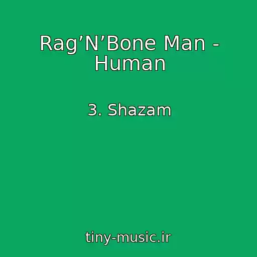 کاور آهنگ Rag’N’Bone Man - Human از 3. Shazam