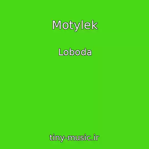 کاور آهنگ Motylek از Loboda