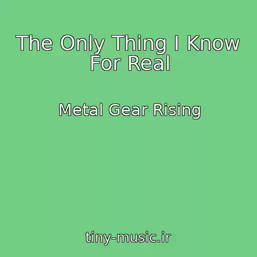 کاور آهنگ The Only Thing I Know For Real از Metal Gear Rising