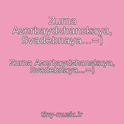 کاور آهنگ Zurna Azerbaydzhanskaya, Svadebnaya...=) از Zurna Azerbaydzhanskaya, Svadebnaya...=)